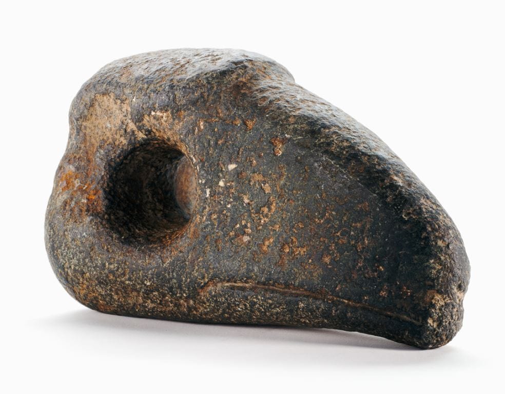 Archaeology Royal BC Museum