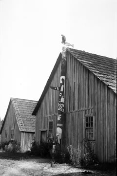 Coast Salish pole in situ