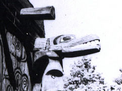 Close up of Seal Lion heads in Thunderbird Park