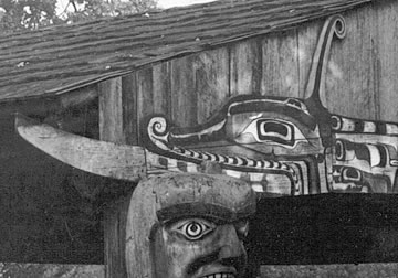 Se fermer vers le haut de la tête du serpent 