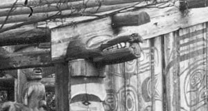Se fermer vers le haut des têtes de lion de joint en parc de Thunderbird 