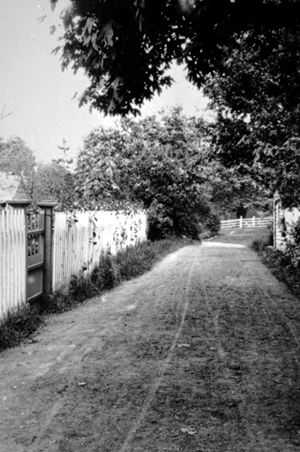 La rue devant la maison Helmcken (aux environs de 1900)