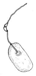 Le saule du Pacifique était récolté dans des zones marécageuses avoisinantes. On l’utilisait pour la fabrication de cordes destinées à arrimer des pierres d’ancrage.