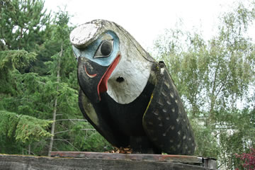 Aigle