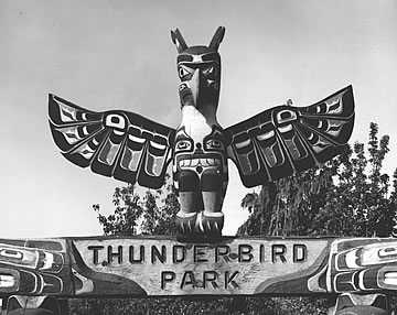 Close up of the Thunderbird