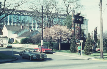 View of Totem Poles in Thunderbird Park with the Museum in the Background.