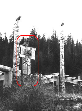 Haida Pole in Situ