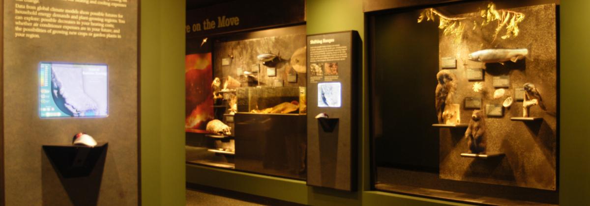 Climate Rules Natural History Gallery Royal BC Museum